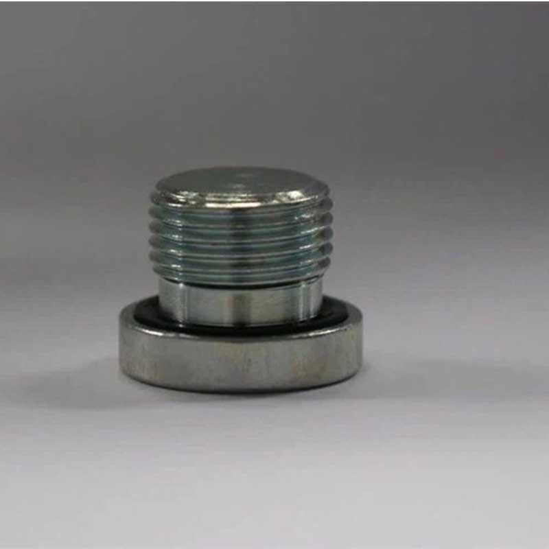 BSP Male Captive Seal Hollow Plug