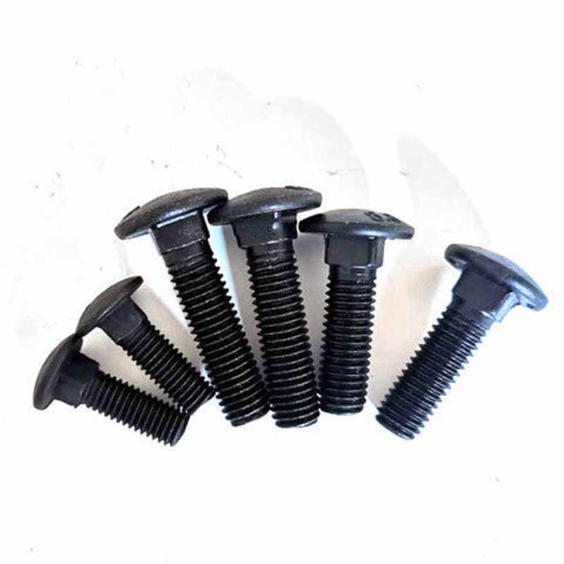 Carriage Bolts Screws