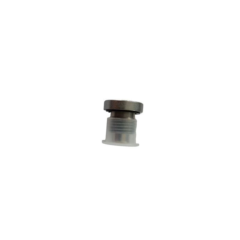 Countersunk Hollow Hex Plug with Seal