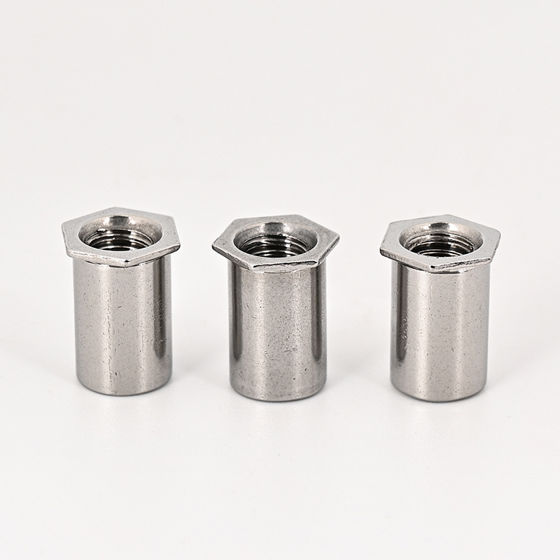 Customized Through Hole Hexagonal Rivet Nut
