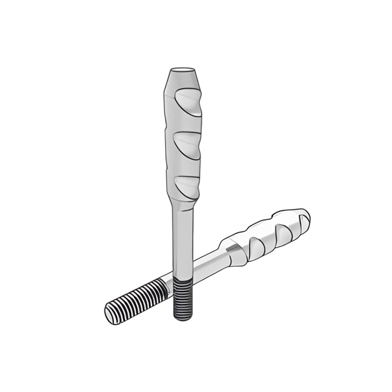 DIN529 Type E Anchor Bolts