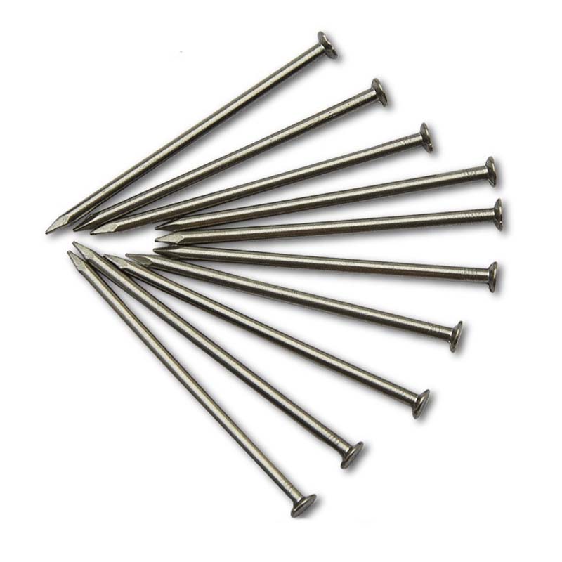 Flat Head Nail