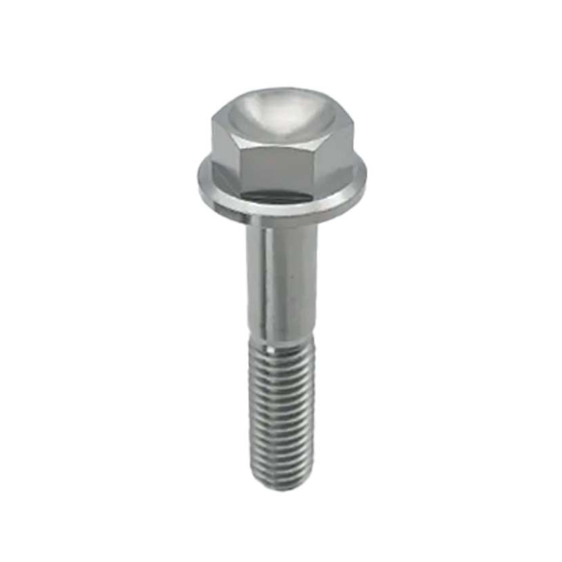 Hexagon Head Flange Bolts