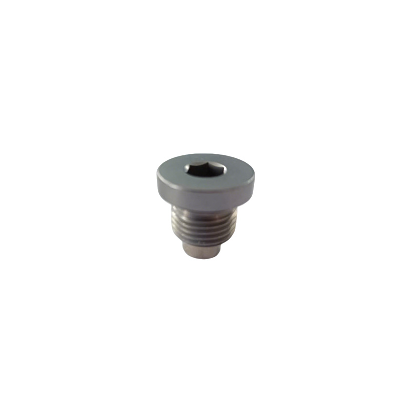 Hollow Hex Pipe Plug with O-Ring