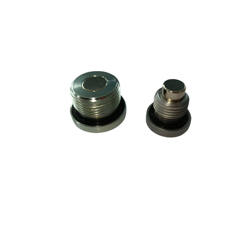 Hollow Hex Pipe Plug with Sealing Ring