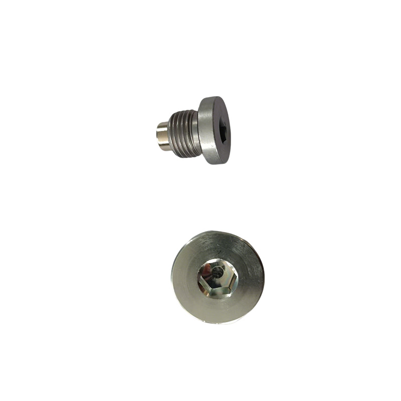 Hollow Hex O-Ring Steel Plug