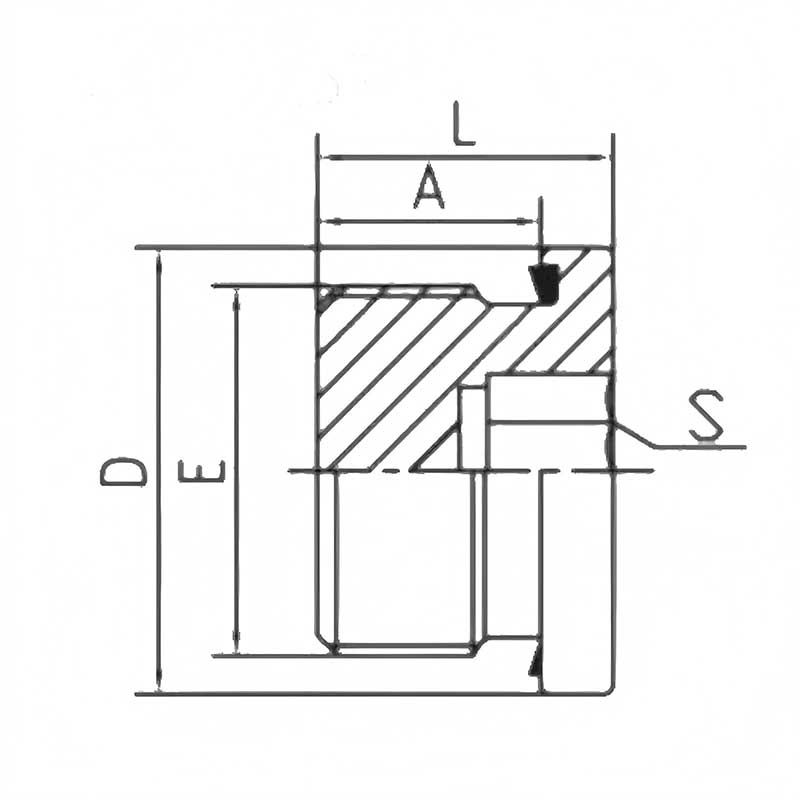 BSP Male Captive Hollow Seal Plug