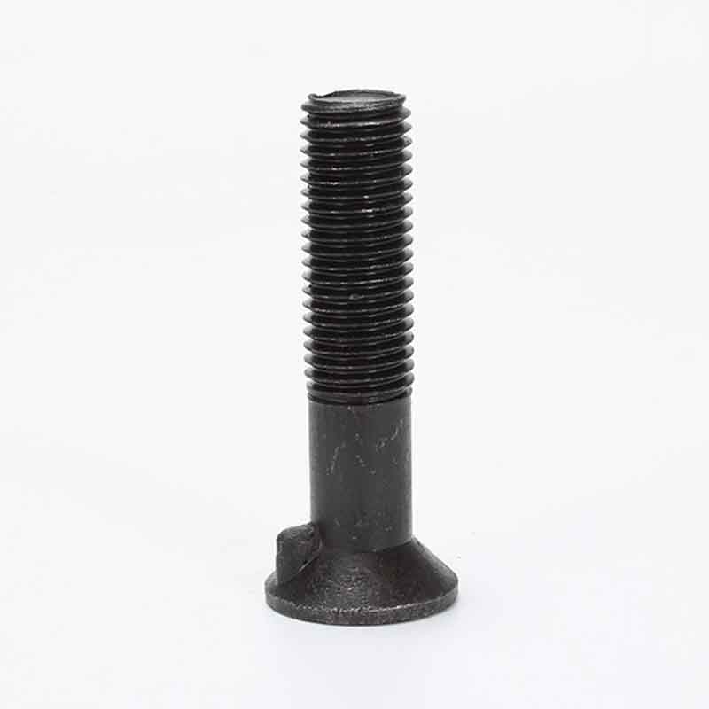 Rough Flat Head Bolt With Reverse Key