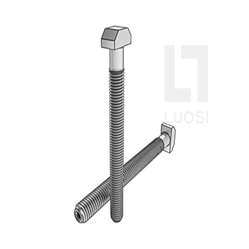 T head and half hollow anchor bolt