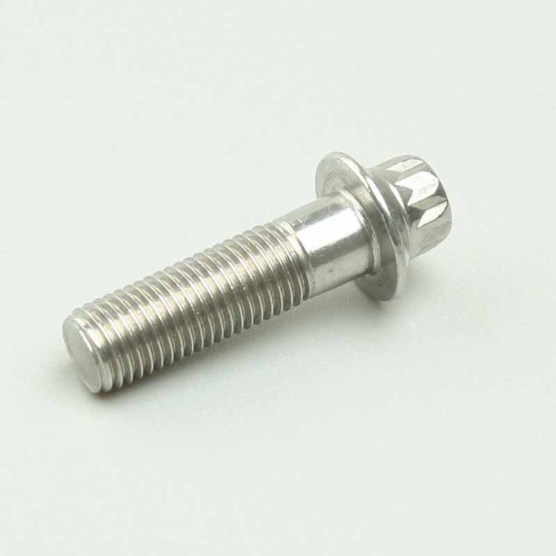 Type B 12-Piont Flange Screws